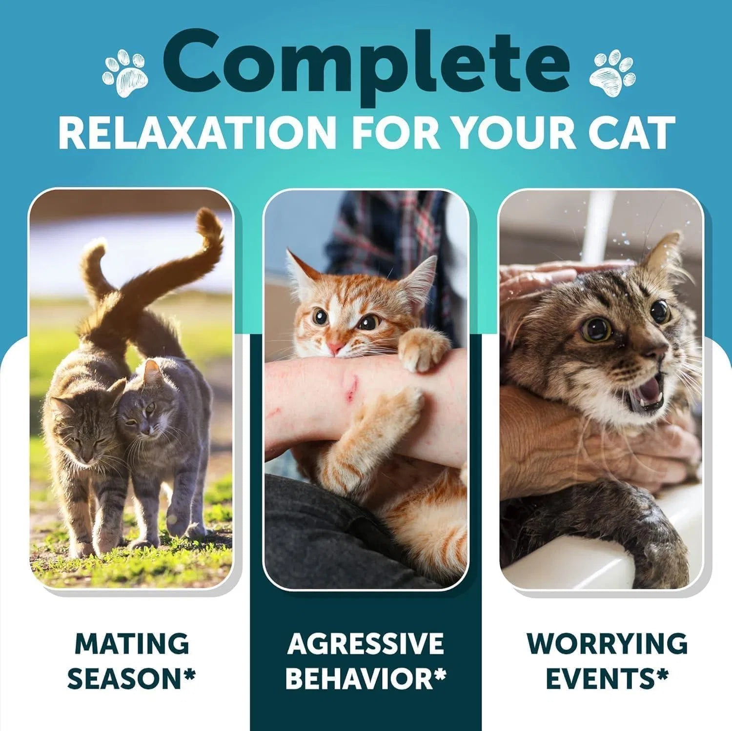 Cat Calming Treats For Stress & Anxiety Relief Cat Kittens Melatonin
