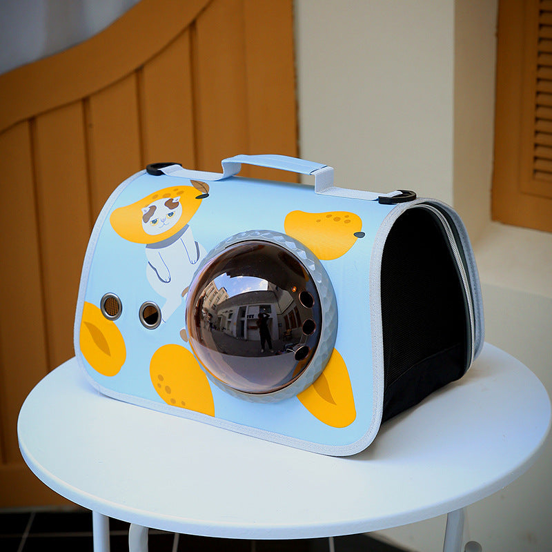 Pet carrier with cartoon design on a white surface