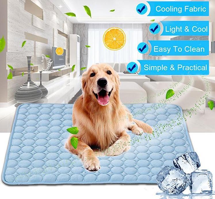 Dog lying on a cooling pad with features highlighted in blue boxes.