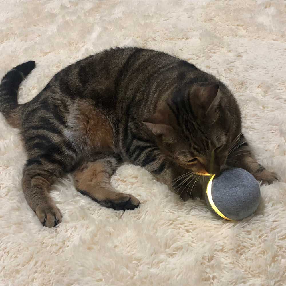Cat bouncing ball toy designed for active chasing rolling and self play fun
