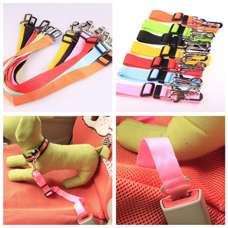 Colorful dog leashes and collars displayed with a green plush toy and car seat belt.