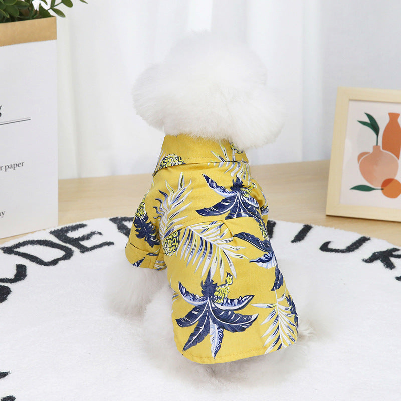 Back view of summer pet clothing showing simple and comfortable casual design