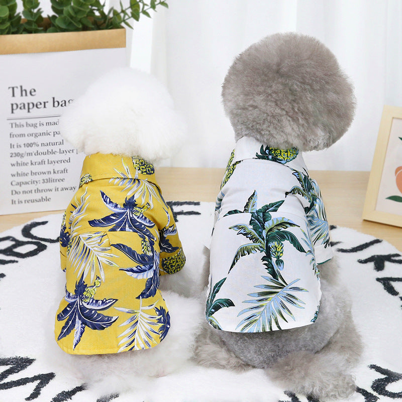 Dog wearing lightweight summer pet clothes for comfortable daily outdoor walks