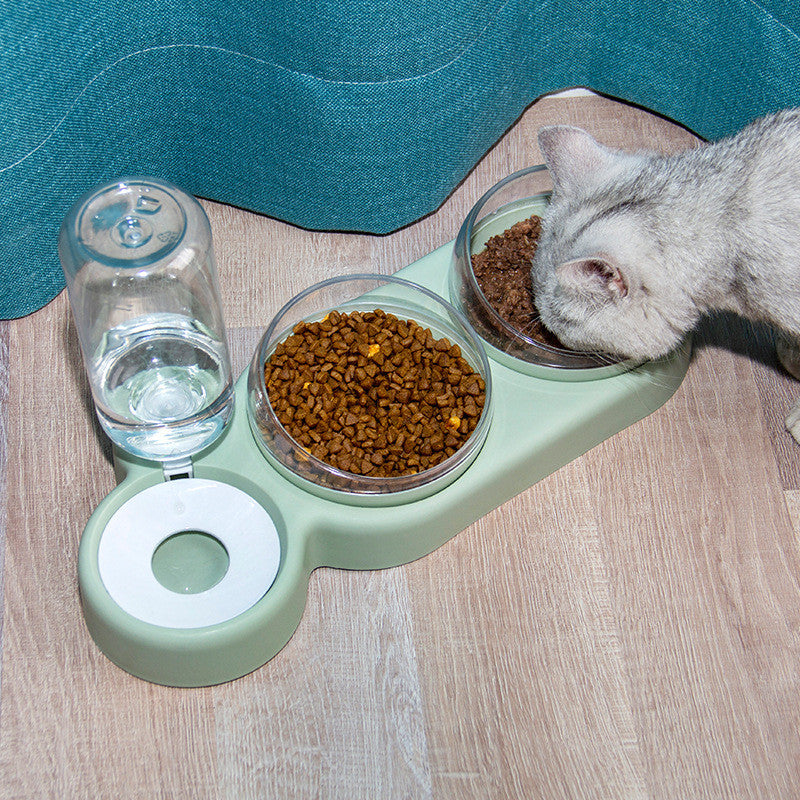 Raised cat and dog bowl feeder with integrated water fountain for daily hydration and feeding