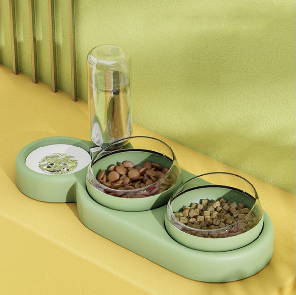Automatic pet cat and dog feeder bowl with water fountain and raised double bowl design