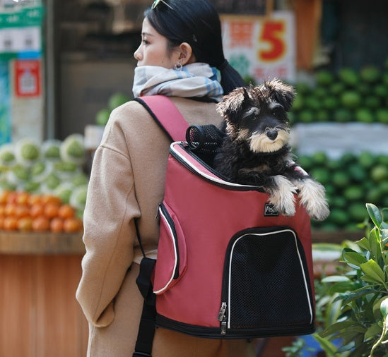 Portable pet dog backpack carrier with breathable design for safe and comfortable travel