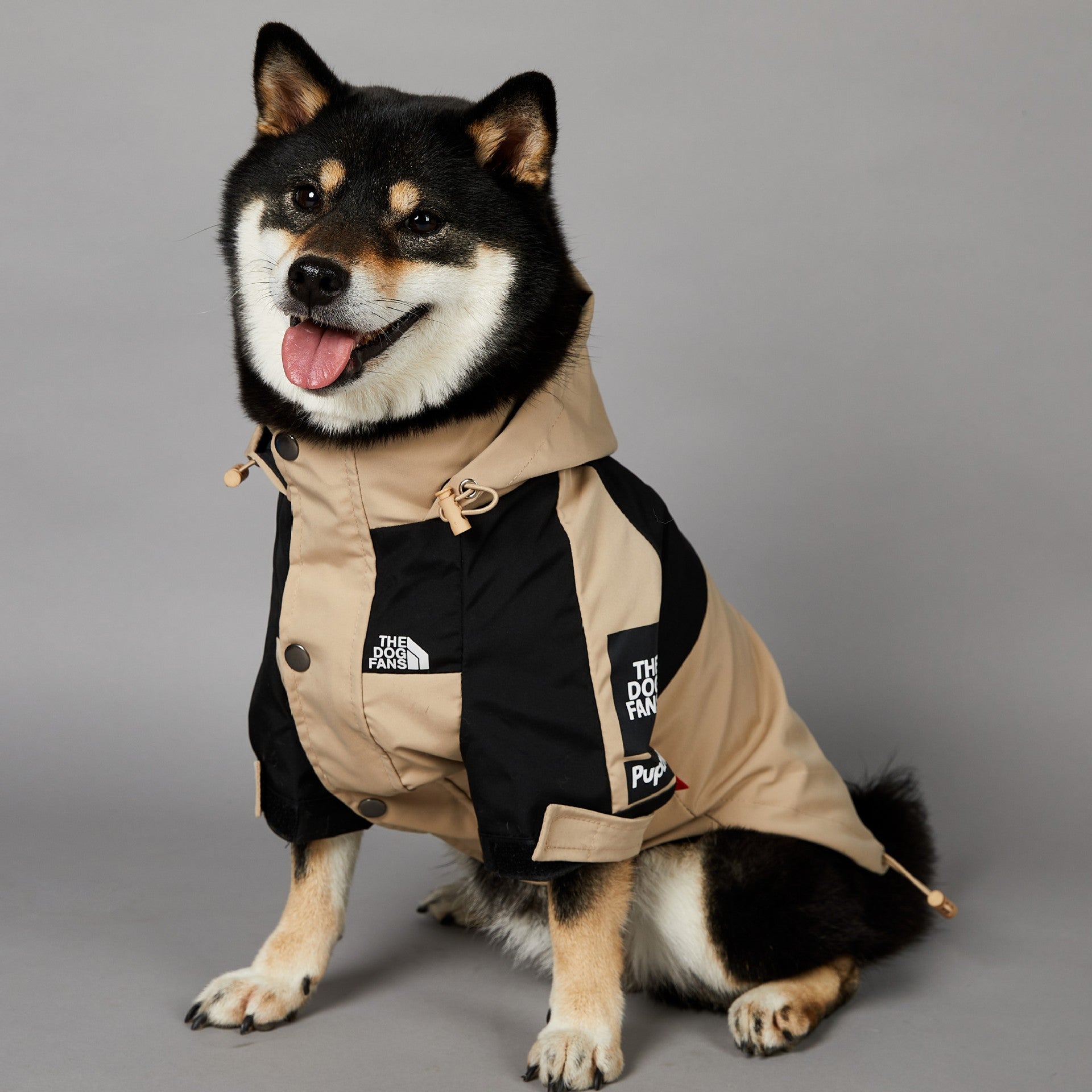 Dog wearing a beige and black coat with visible branding on a gray background