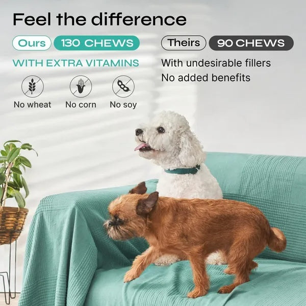 Hemp Calming Chews For Dog Anxiety Relief