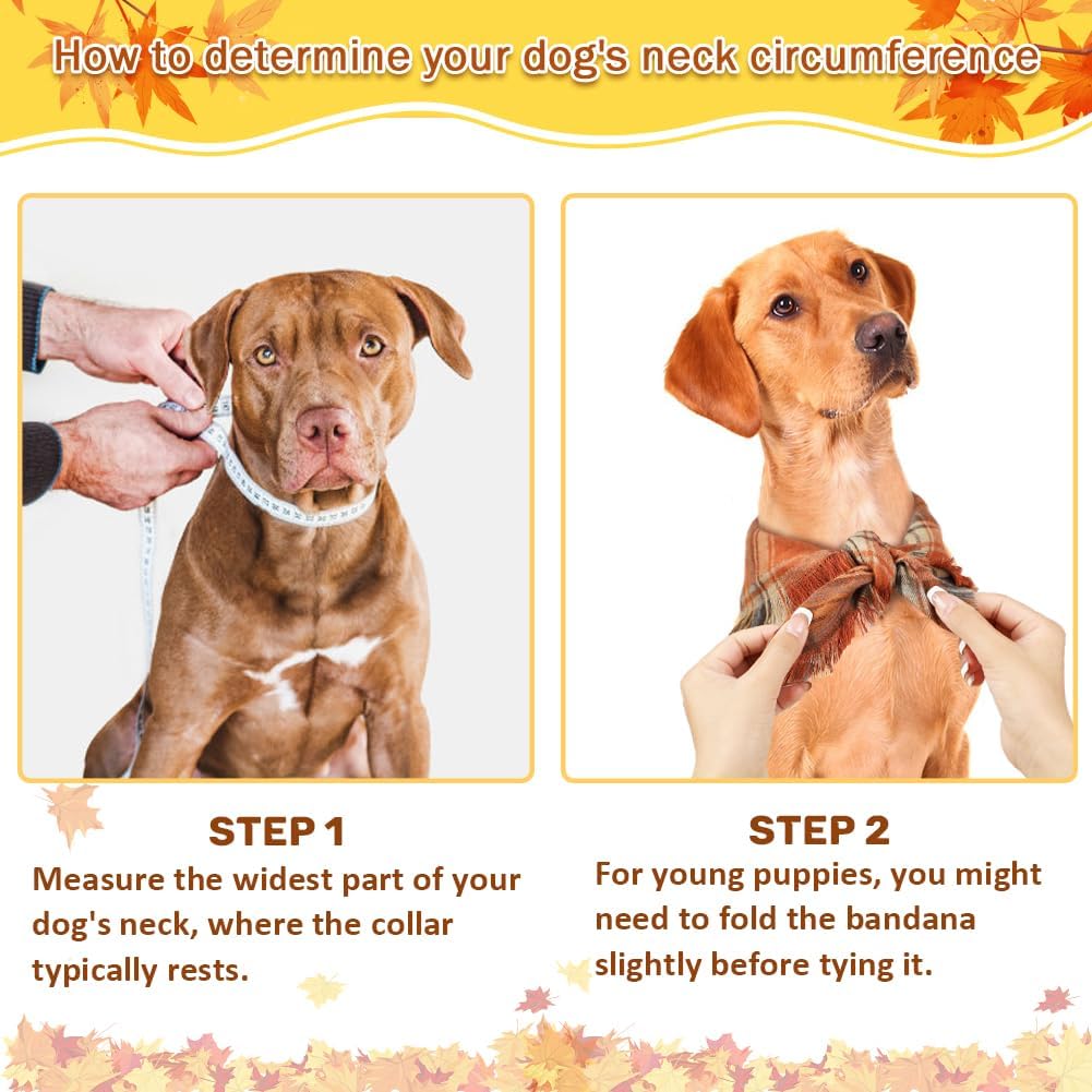 Instructions on how to measure a dog's neck circumference with images of a dog and a person measuring a collar.