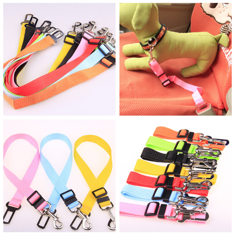 Collage of colorful pet leashes with a dog toy and additional leashes.