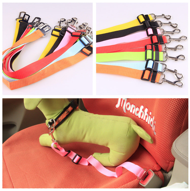 Collection of colorful dog leashes and collars with a plush toy and backpack in the bottom right corner.