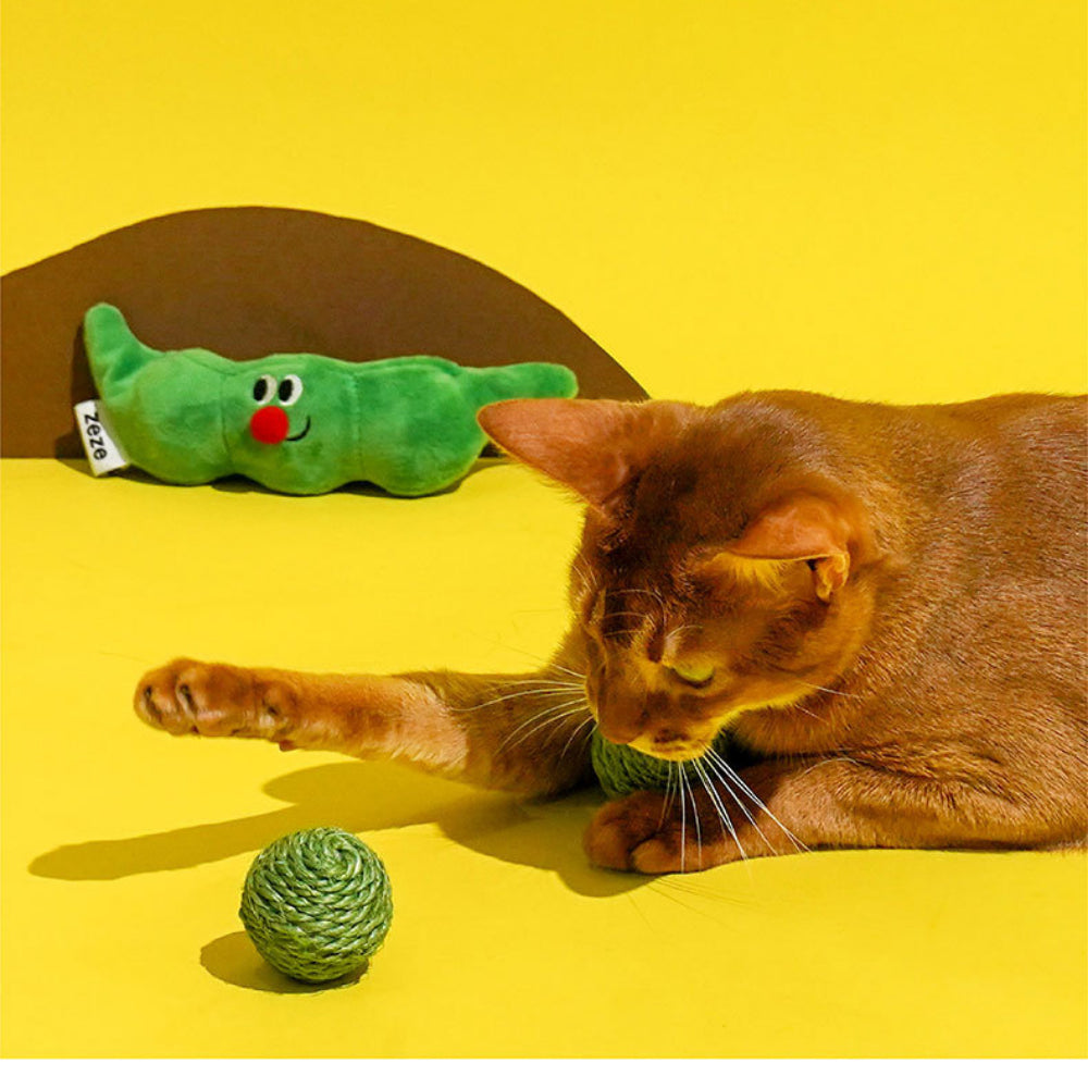 Kitten playing with sisal cat balls for interactive hide and seek fun and exercise
