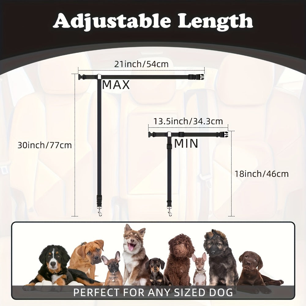 The Two - Piece Dog Leash Set Is Made Of Wear - furryfams.com