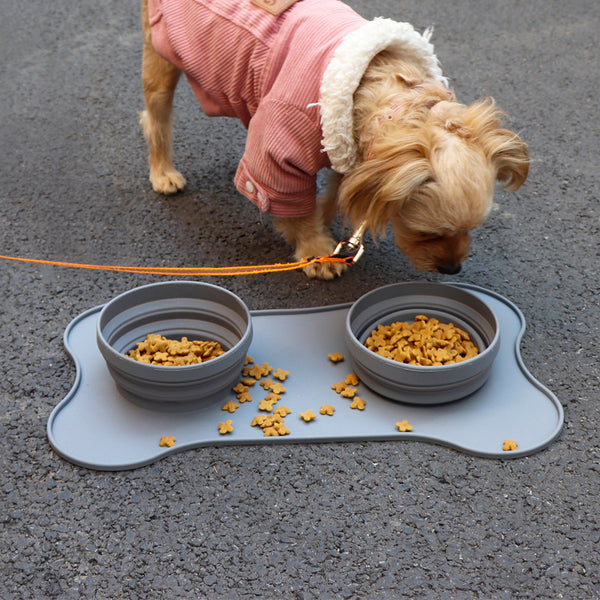 Dog in a pink coat eating from two gray bowls on a mat outdoors.