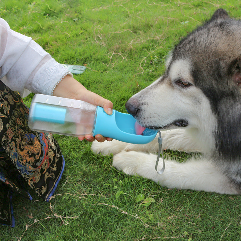 Person pouring water from a blue pet water bottle into a dog's mouth on grass
