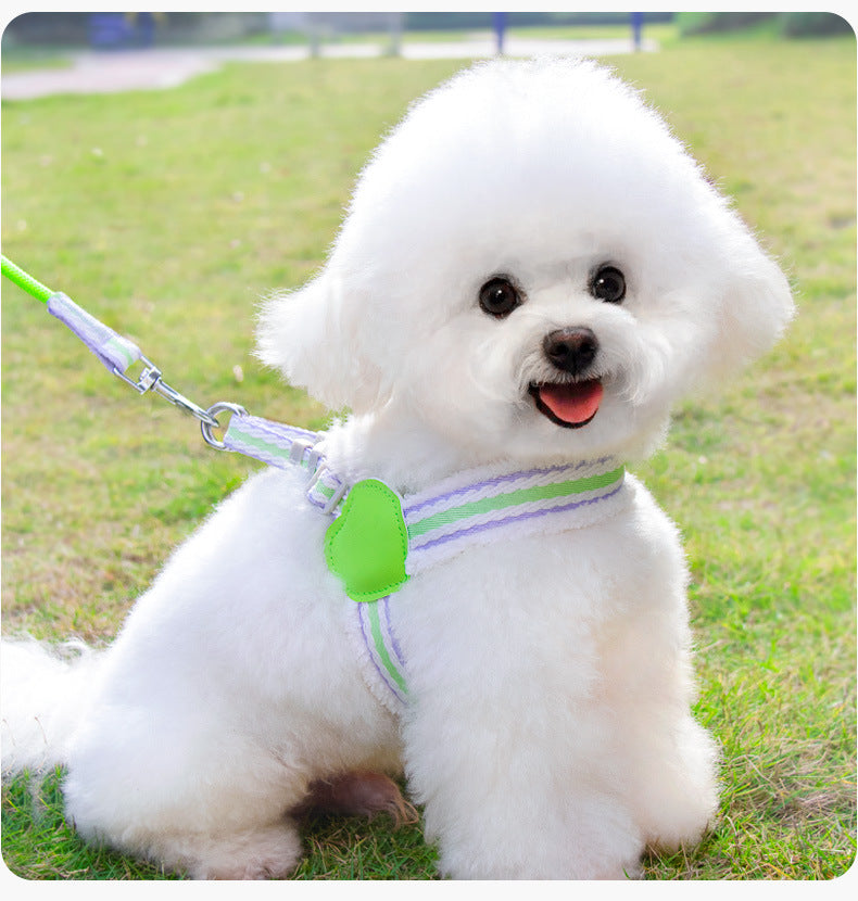 Back view of dog harness with durable buckle and leash attachment ring for added safety