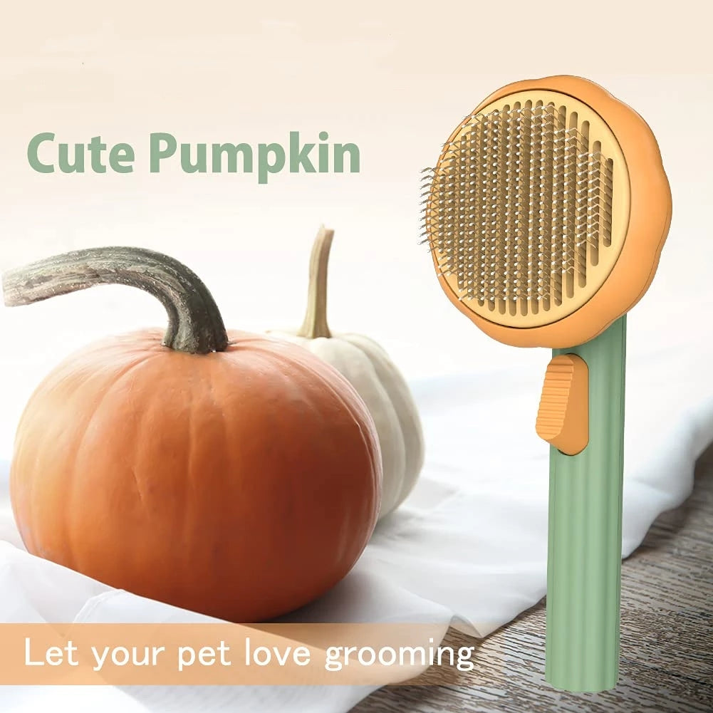 Pet grooming brush with pumpkin on a neutral background