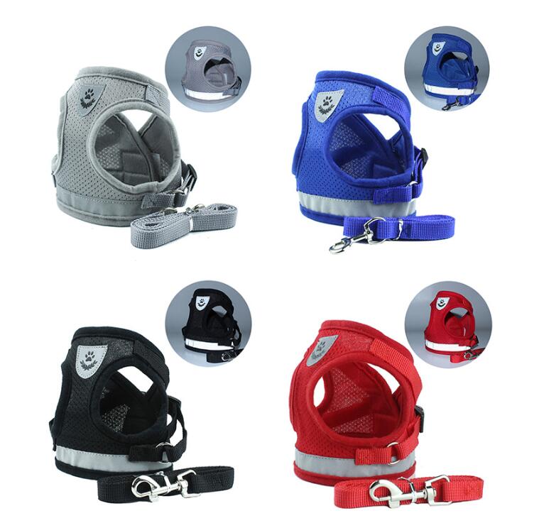 Collection of dog harnesses in gray, blue, black, and red with leashes on a white background.