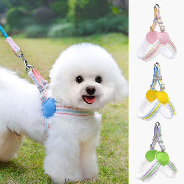 Premium breathable dog harness set with adjustable straps and matching leash for comfortable daily walks