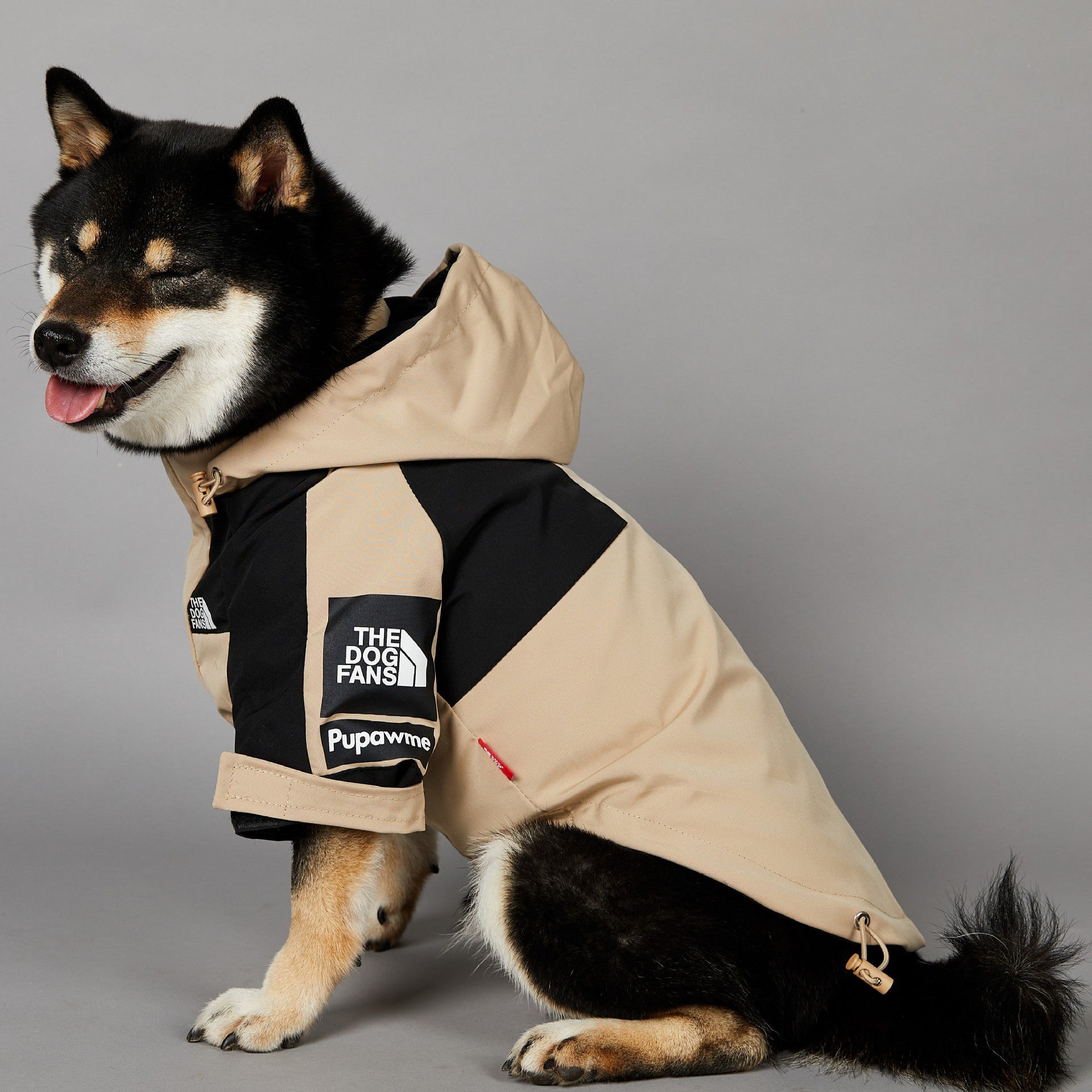 Dog wearing a beige and black coat with visible branding on a gray background