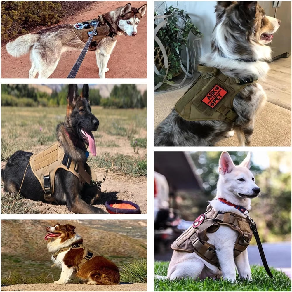 Pet Harness Luxury Dog Leash - furryfams.com