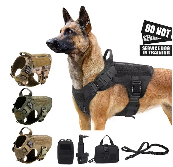 Pet Harness Luxury Dog Leash - furryfams.com