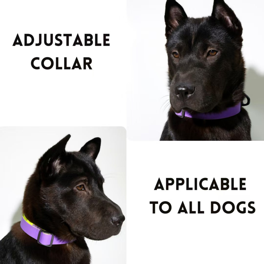 Honeycomb Embossed Dual-Color Pet Leash - furryfams.com