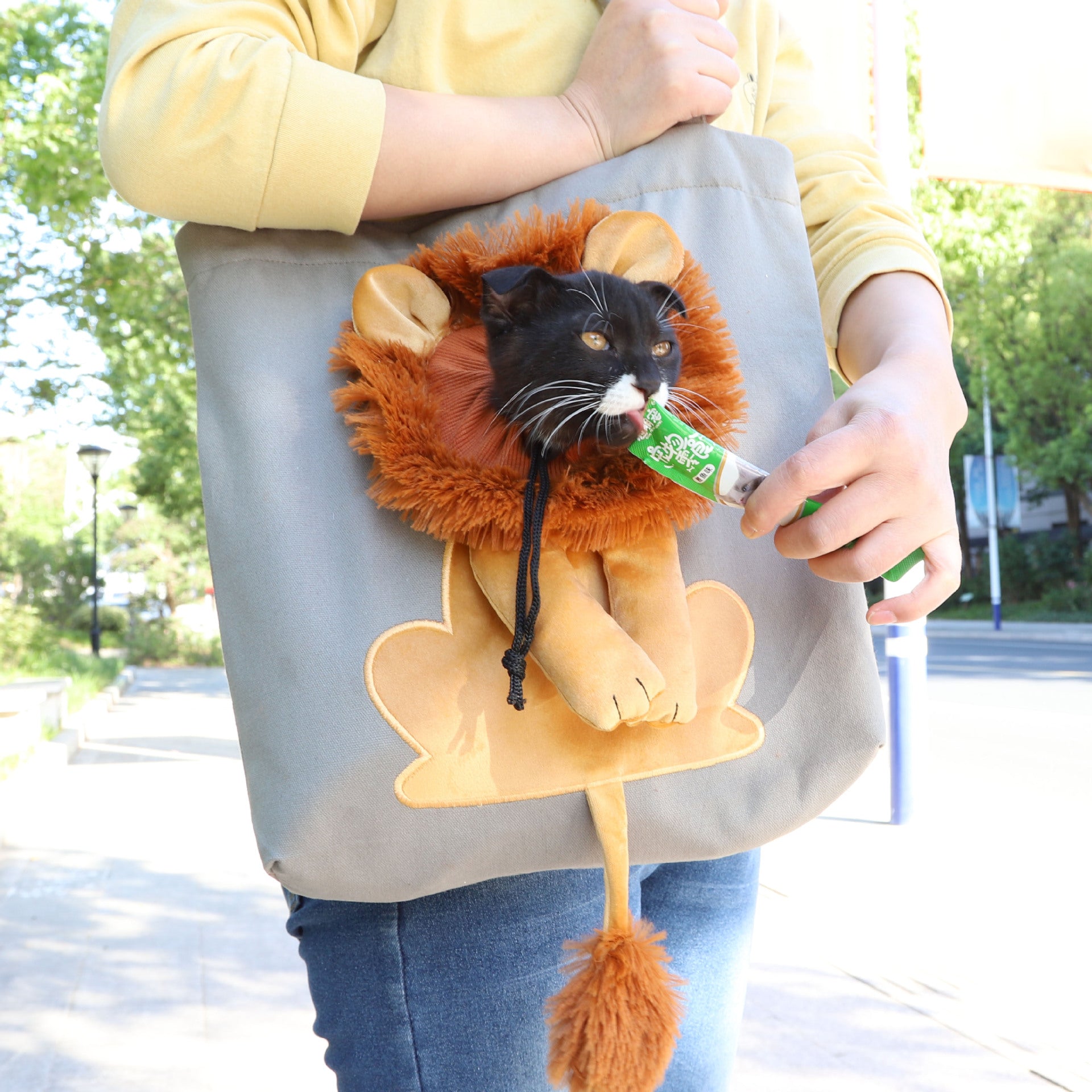 Soft Pet Carriers Lion Design