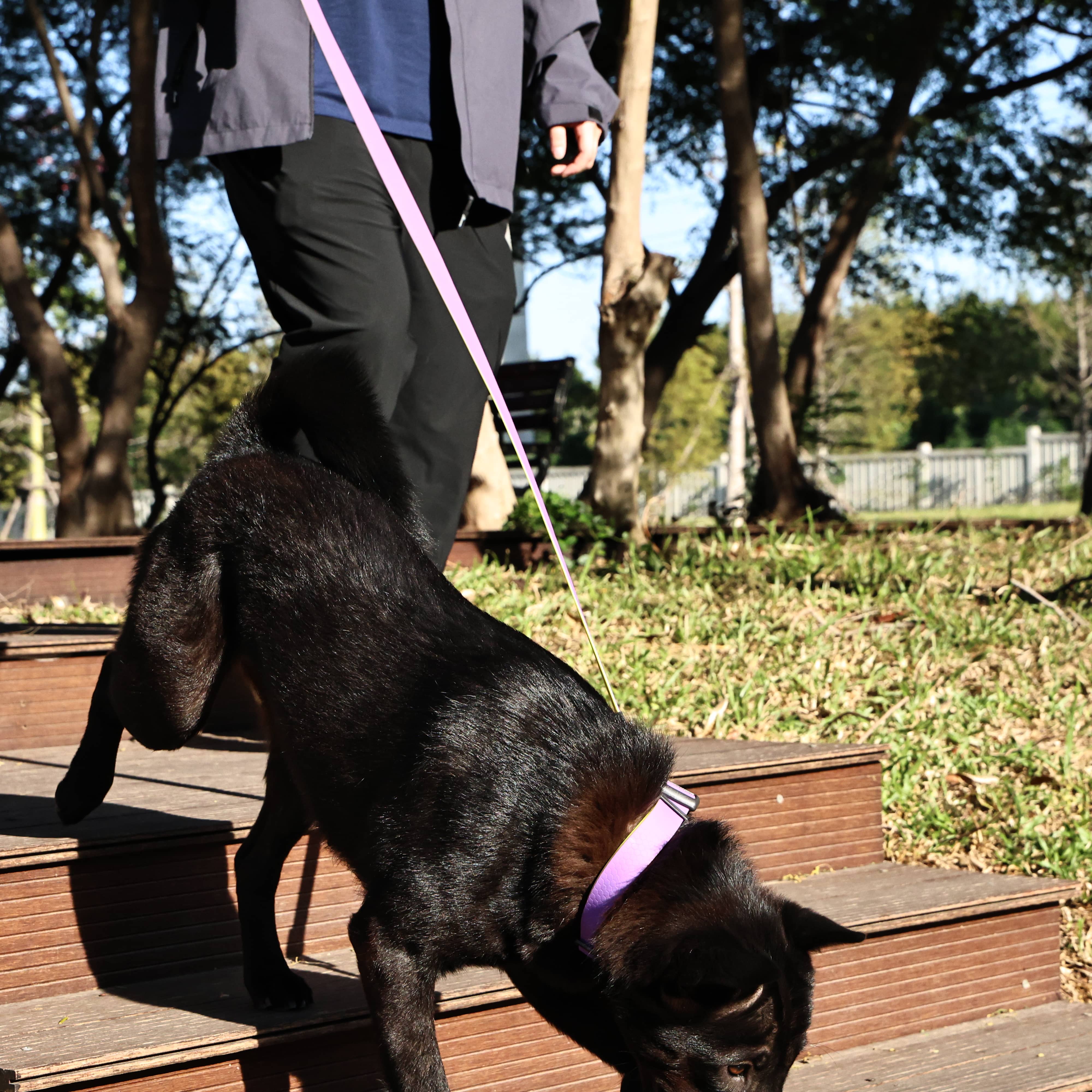 Honeycomb Embossed Dual-Color Pet Leash - furryfams.com