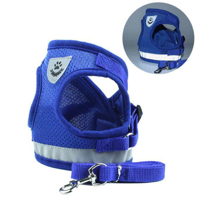 Blue dog harness with reflective strip and leash on a white background