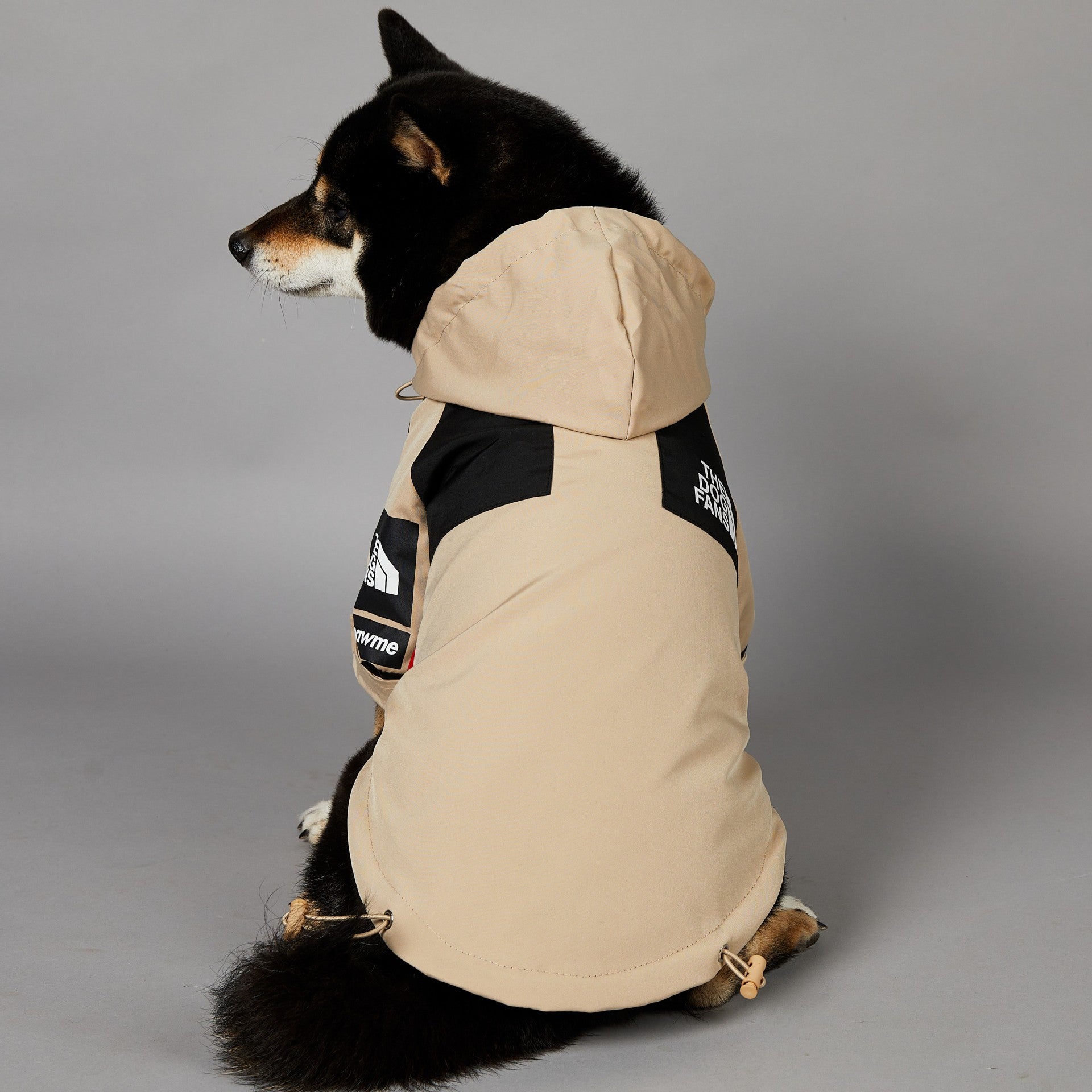 Dog wearing a beige winter coat with black accents on a gray background