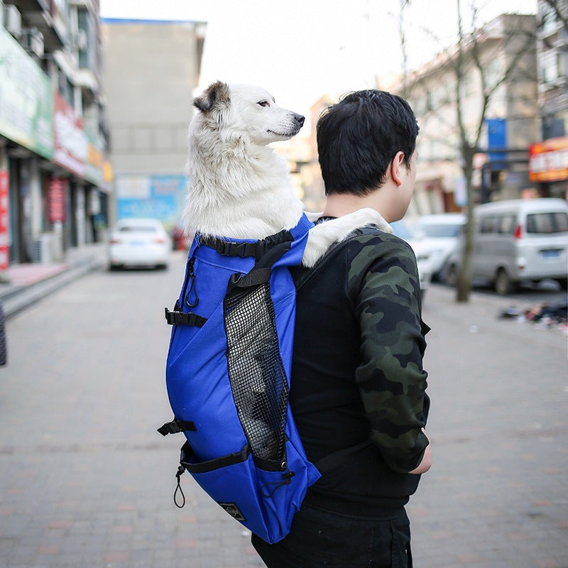 Pet Cat & Dog Carrier Bag - furryfams.com