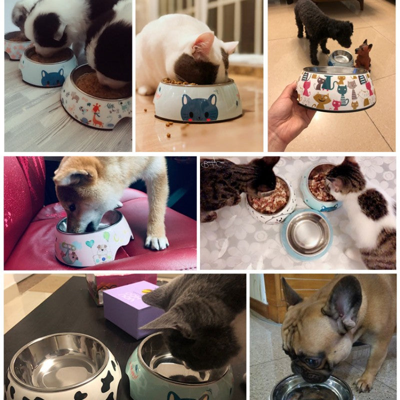 Pet eating from stainless steel food bowl for clean and safe feeding experience