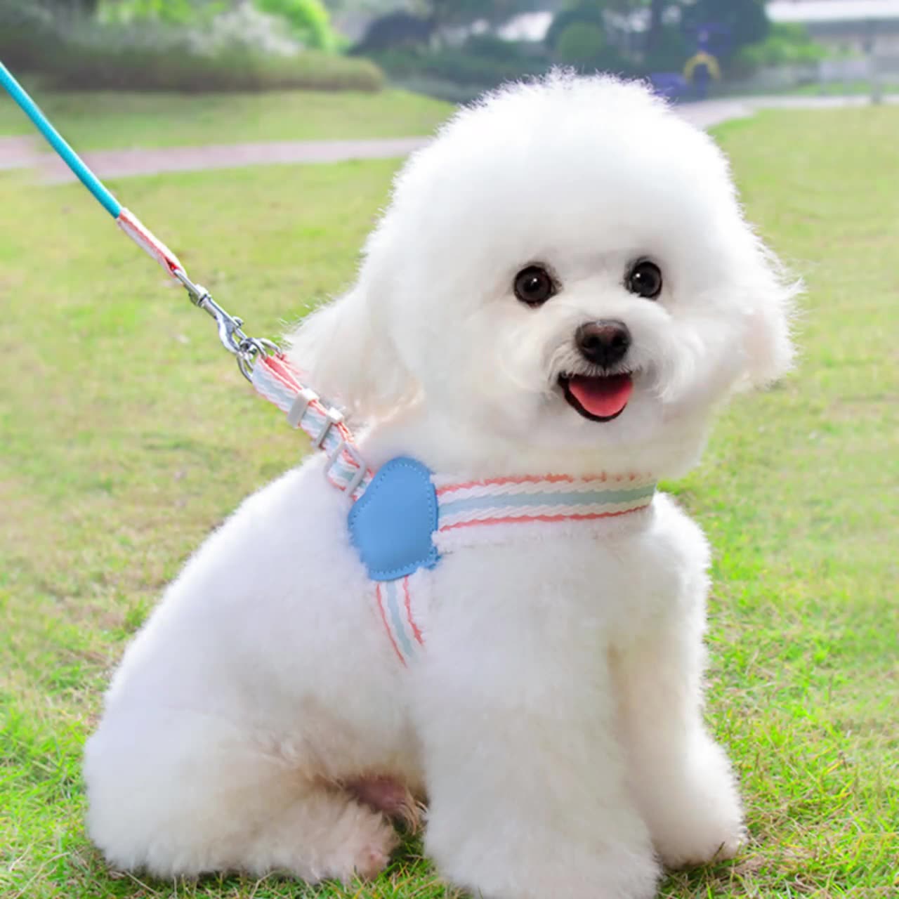 Dog harness set with matching leash made from durable and lightweight material