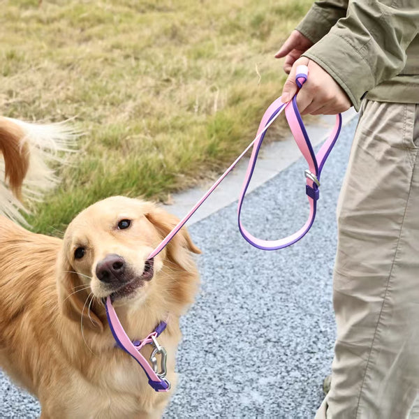 The New Dual-Color Embossed Pet Leash