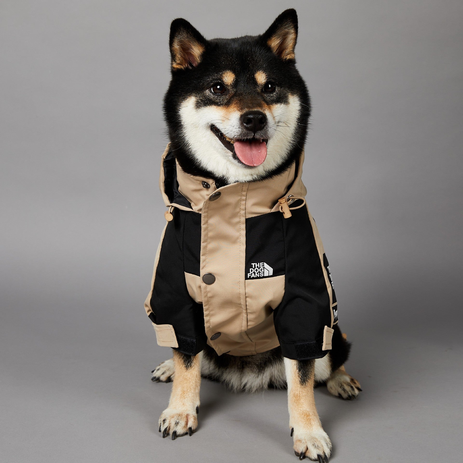 Dog wearing a black and beige coat with a brand logo on a gray background