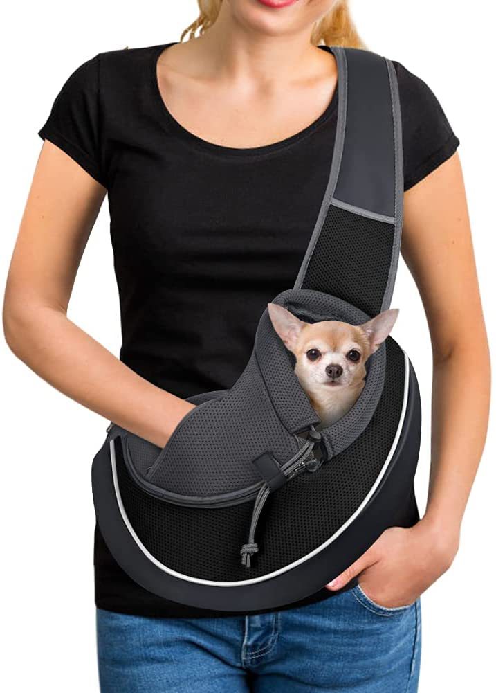 Person holding a small dog in a black pet sling against a white background