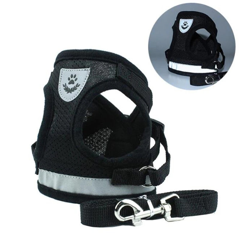 Black dog harness with reflective strip and leash on a white background