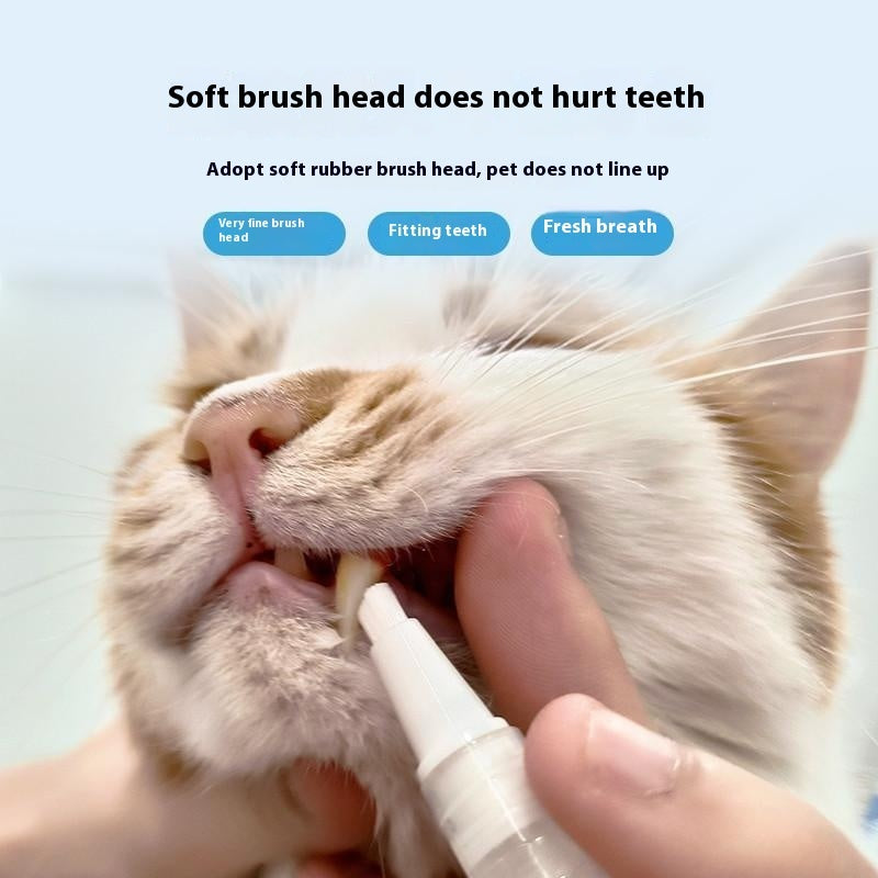 Cat using soft pet toothbrush tool for gentle teeth and gum cleaning
