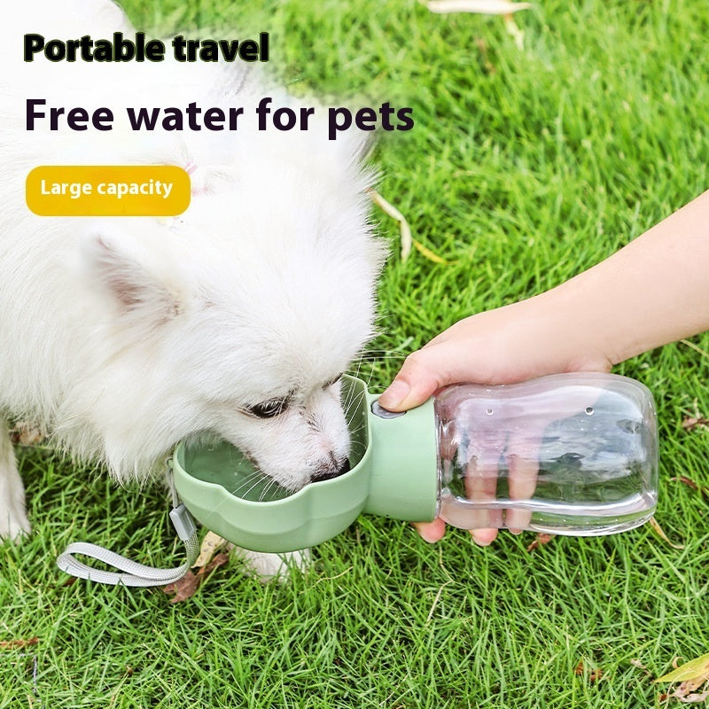 Dog drinking water from portable travel water cup during outdoor walk
