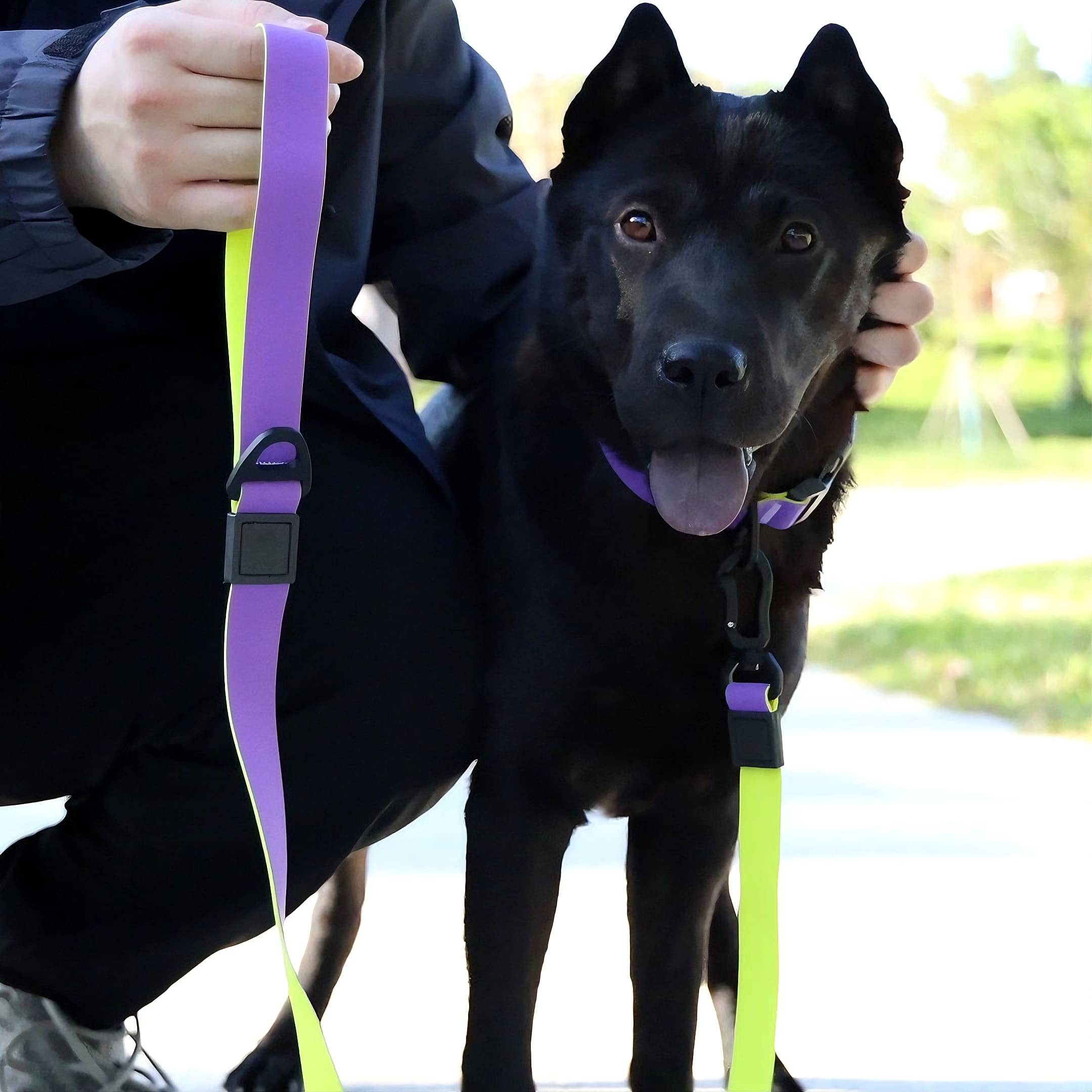 Honeycomb Embossed Dual-Color Pet Leash - furryfams.com