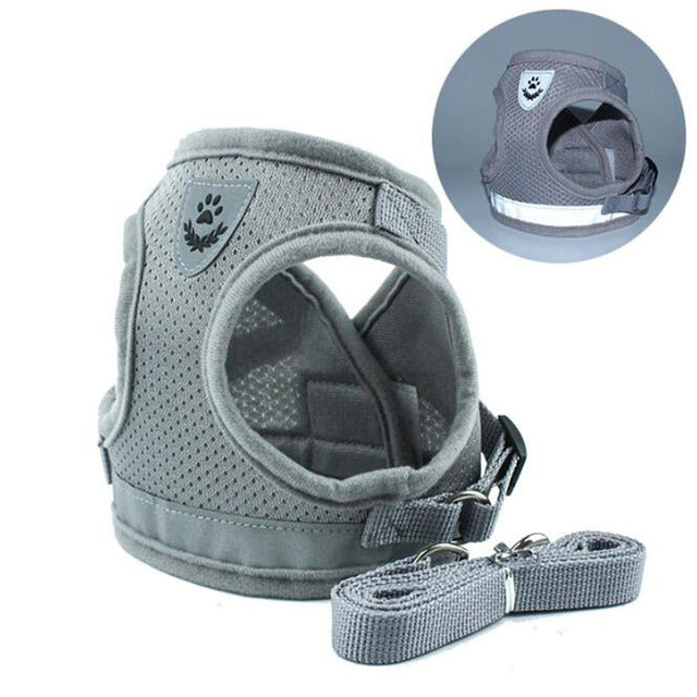 Gray dog harness with handle on a white background