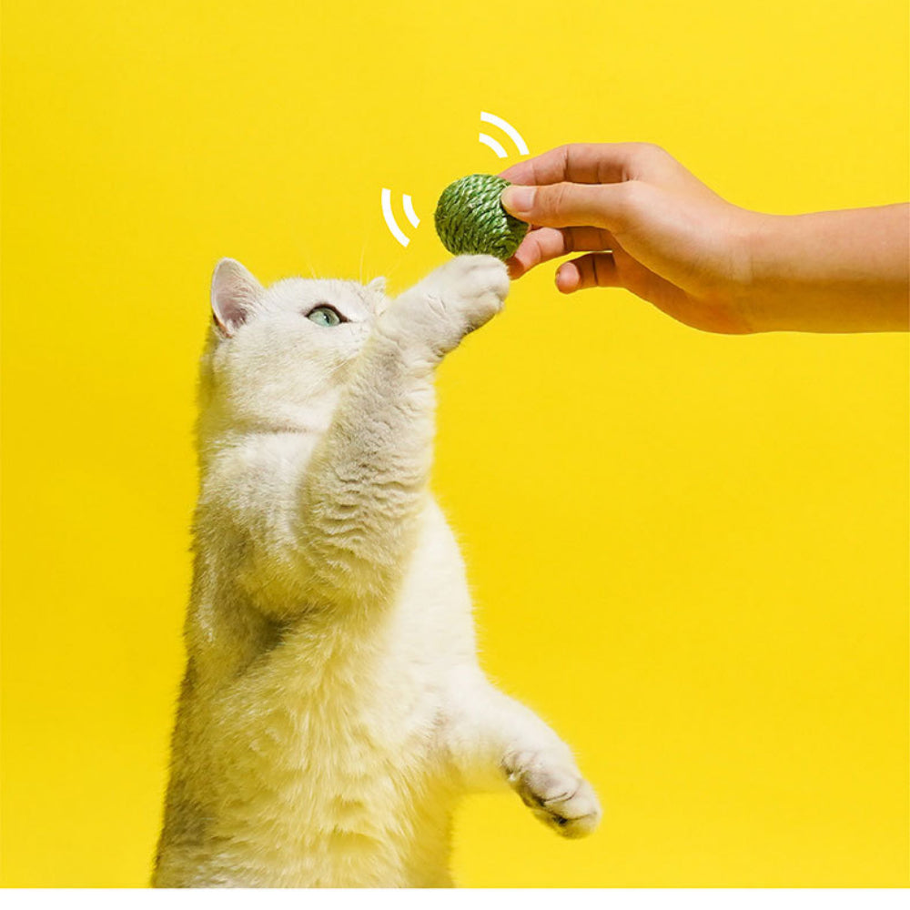 Set of sisal cat balls and teaser toys designed for active play and entertainment
