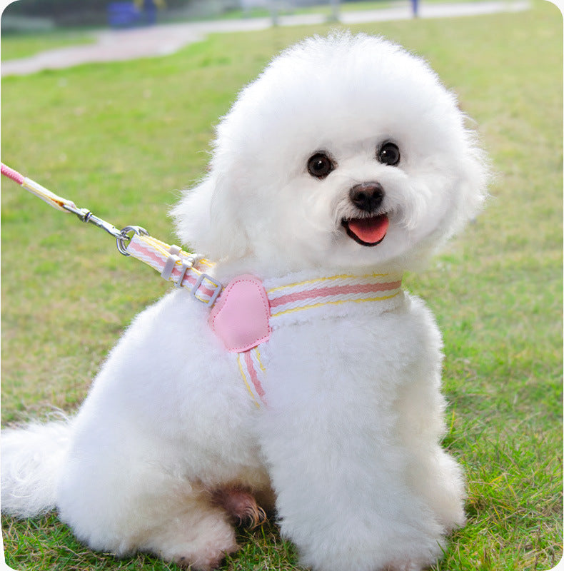 Active dog running outdoors wearing breathable no-pull harness and leash set