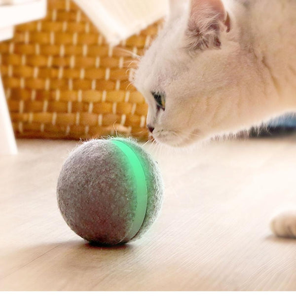 Interactive cat toy bouncing ball for playful exercise and indoor entertainment