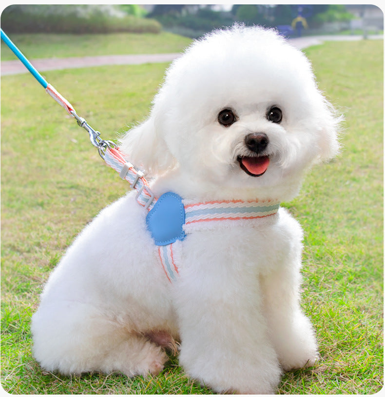 Dog wearing breathable mesh harness and leash set for safe and comfortable outdoor walking