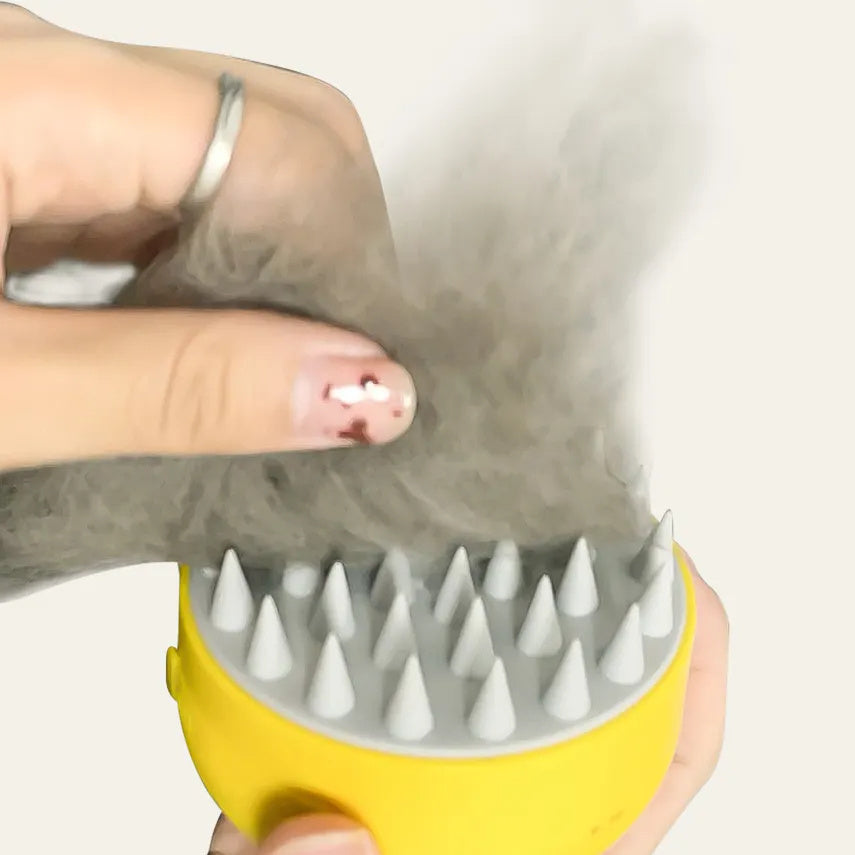 Pet Steam Spray Brush