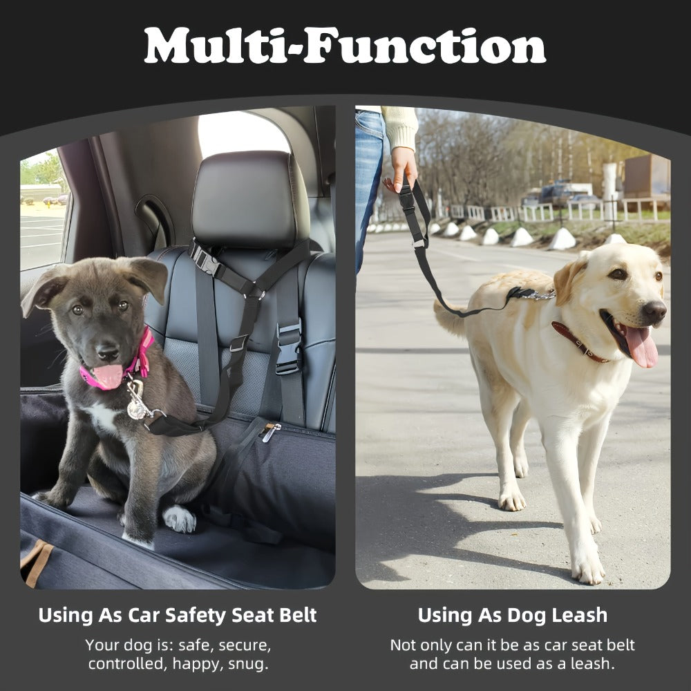 The Two - Piece Dog Leash Set Is Made Of Wear - furryfams.com