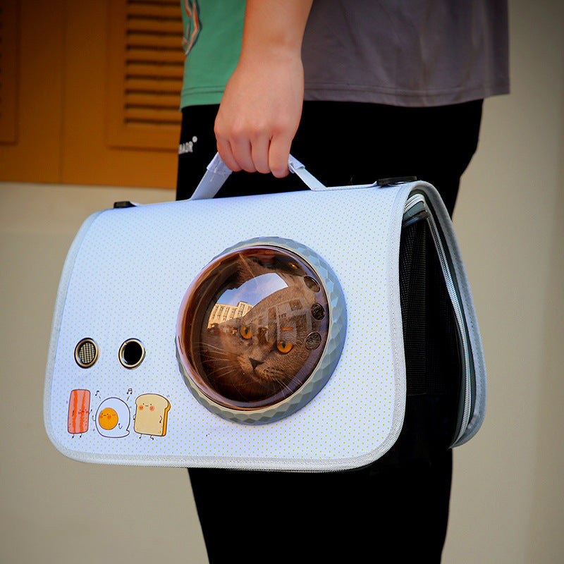 Person holding a pet carrier with a cat inside, featuring cartoonish design elements.