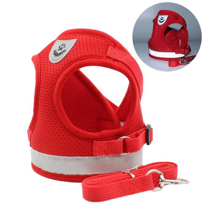 Red dog harness with reflective strip and leash on a white background